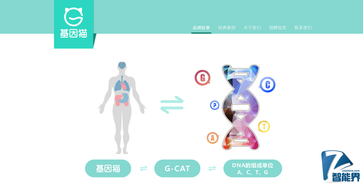 基因檢測可能要打價格戰(zhàn)了，全環(huán)節(jié)自研的 “基因貓” 能突圍而出嗎