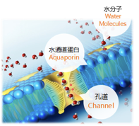 1480310874619786.png 1480310874619786.png