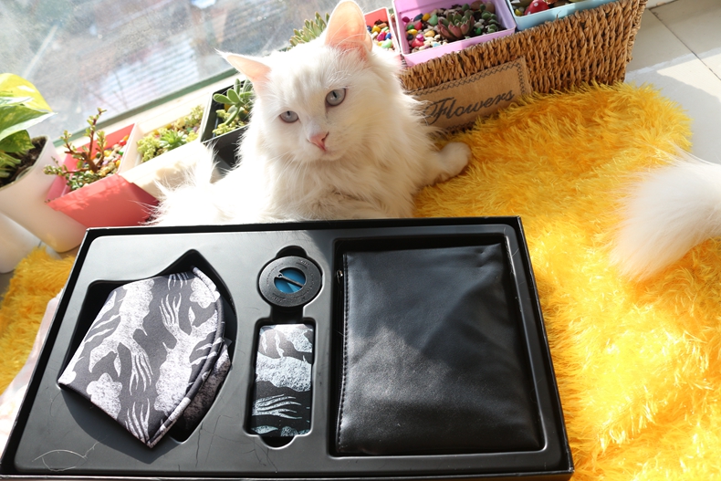 1480920376521760.jpg IMG_0263.jpg