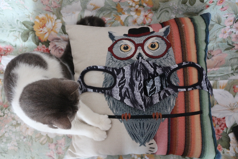 1480920665618065.jpg IMG_0459.jpg