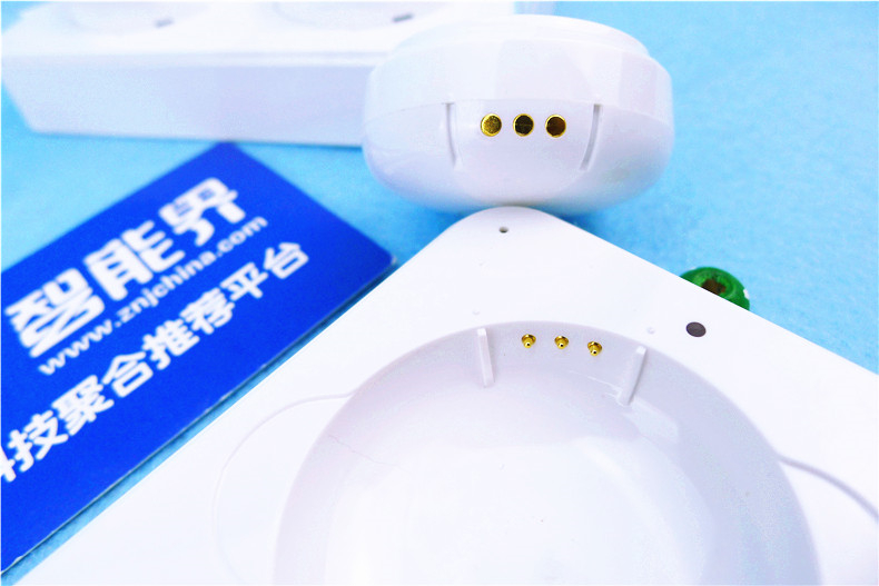 1484122998598572.jpg P1310341.JPG