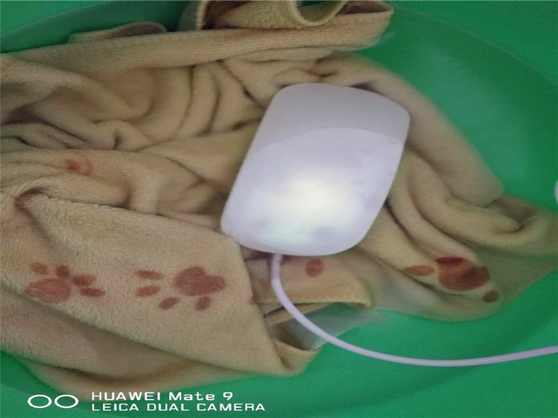 1484441382848715.jpg 14.jpg