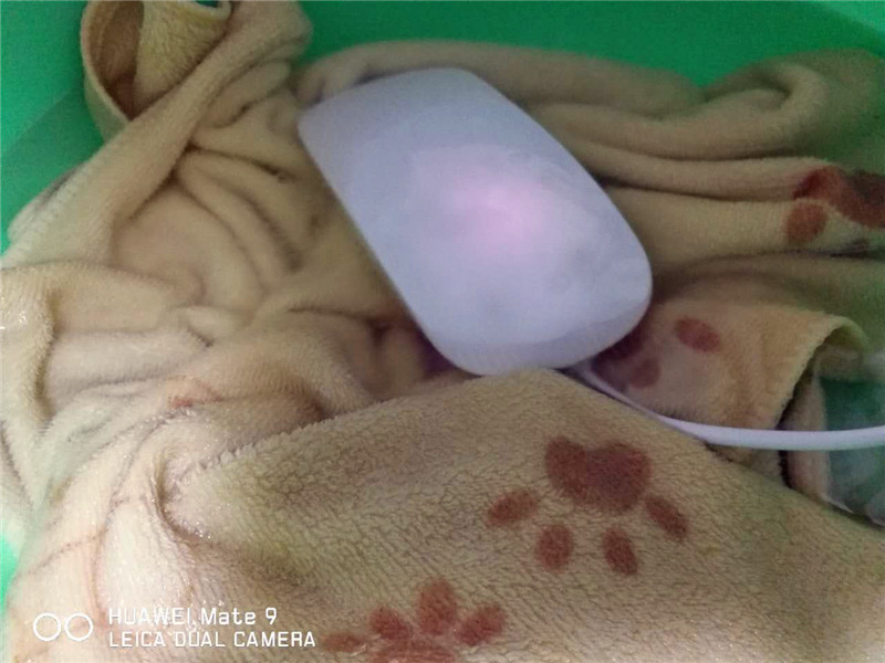 1484441390221183.jpg 15.jpg