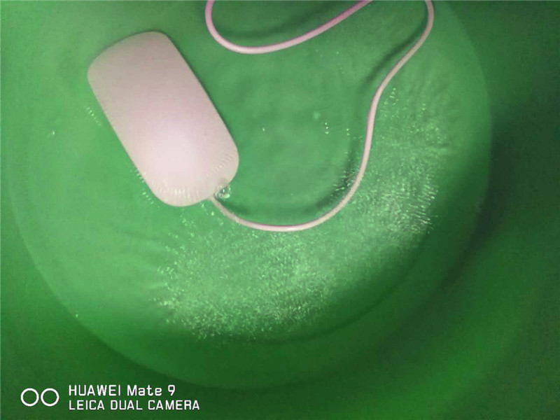 1484441398129671.jpg 16.jpg