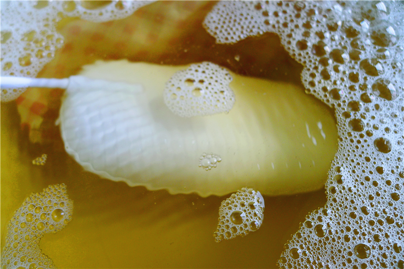 1484551581878881.jpg P1310487.JPG