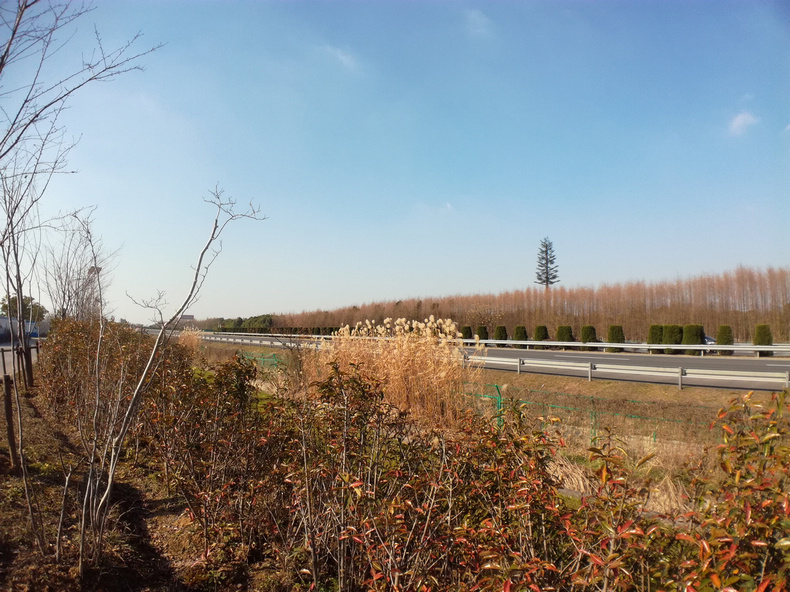 1484622094970796.jpg 202.jpg