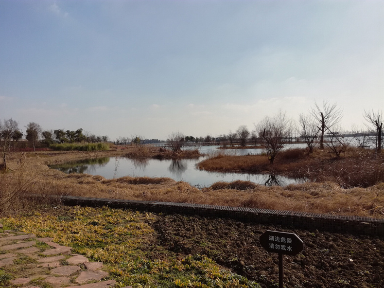 1484622104950658.jpg 204.jpg