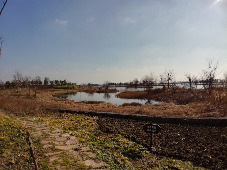 1484622110569138.jpg 205.jpg