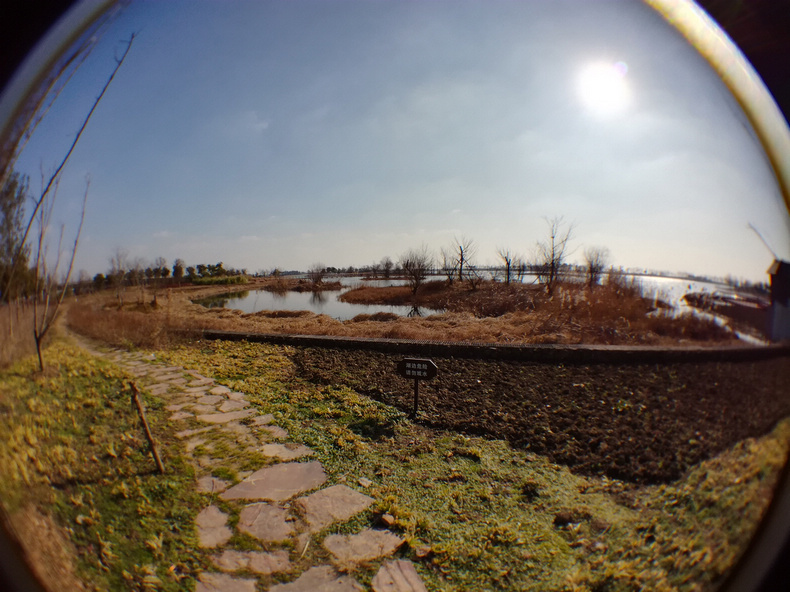 1484622115123587.jpg 206.jpg