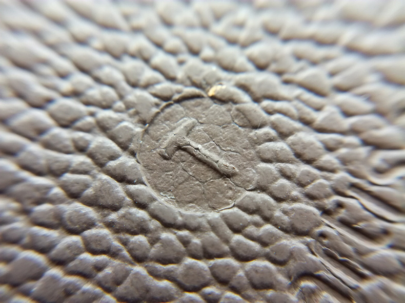 1484622188263870.jpg 308.jpg