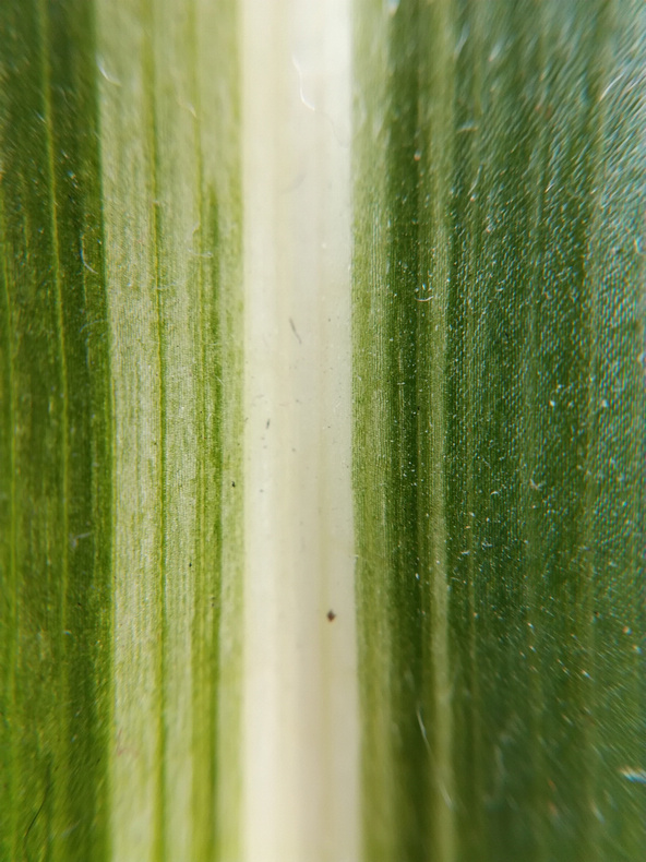 1484622200463366.jpg 1484622200463366.jpg