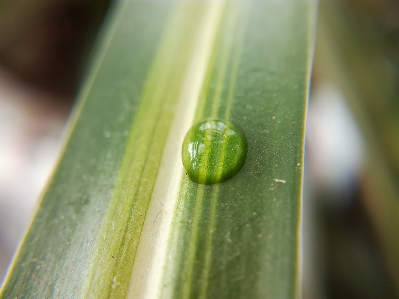 1484622204131152.jpg 311.jpg