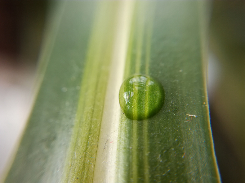 1484622209960985.jpg 312.jpg