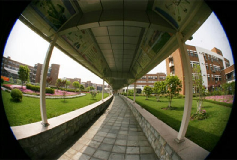 1484635404331258.jpg rps20170115_170332.jpg