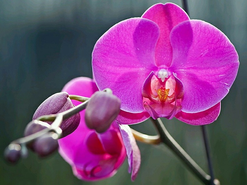 1484635484351913.jpg rps20170115_191949.jpg