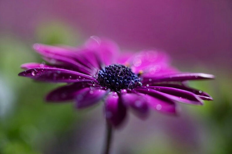 1484635545469605.jpg rps20170115_193408.jpg