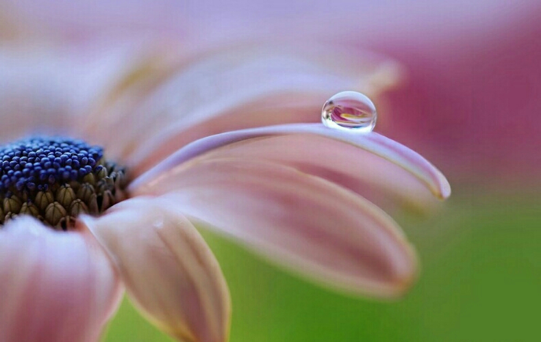 1484635674136660.jpg 水滴.jpg