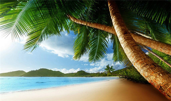 1493950638170836.jpg 1493950638170836.jpg