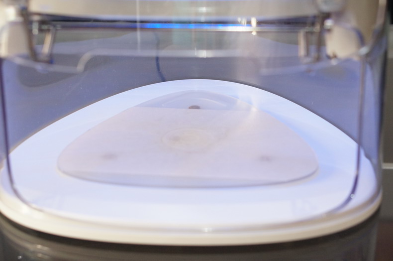 1498445637131272.jpg 25.JPG