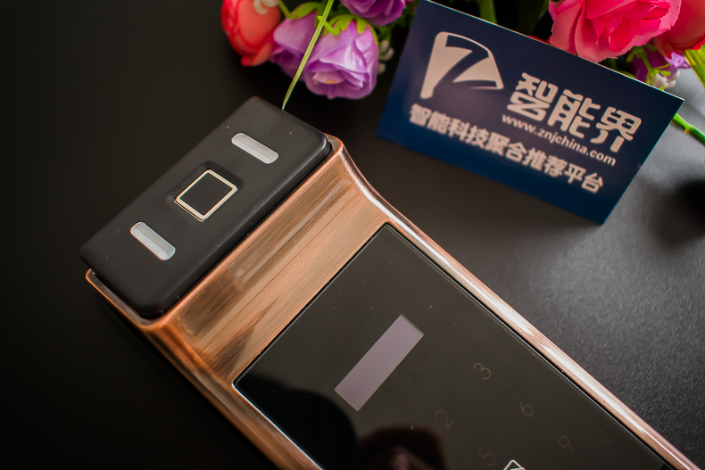 1498743875448563.jpg 5.jpg