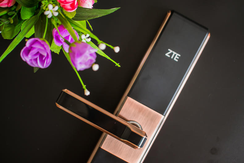 1498743989123884.jpg 13.jpg