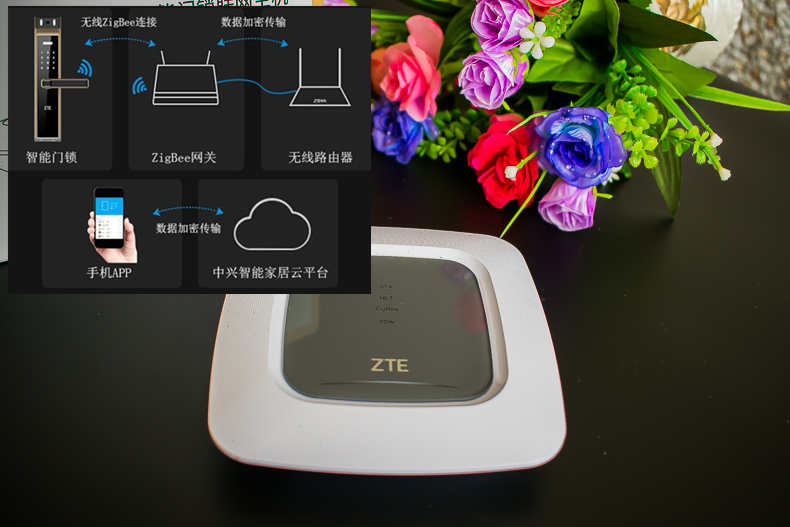 1498744077304363.jpg 19s.jpg