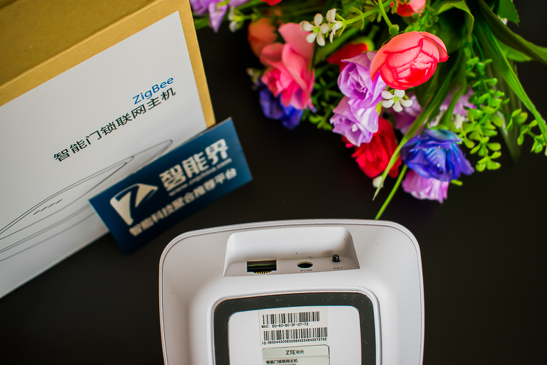 1498744110101555.jpg 20.jpg