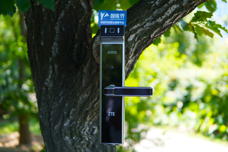 1499660559793419.jpg 5.JPG