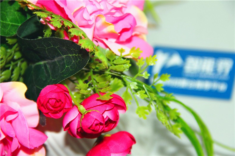 1500041857421281.jpg 2.5.JPG