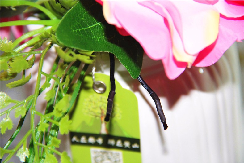 1500041872800950.jpg 2.6.JPG