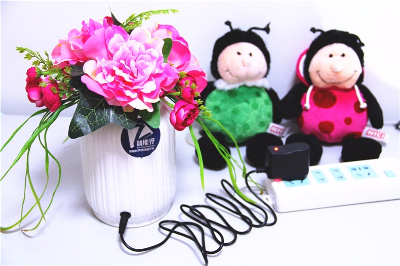 1500041935365038.jpg 3.1.JPG