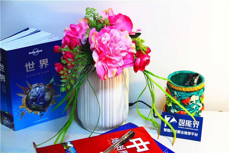 會(huì)凈化空氣的花兒：優(yōu)山美地負(fù)離子仿真花空氣凈化器體驗(yàn)