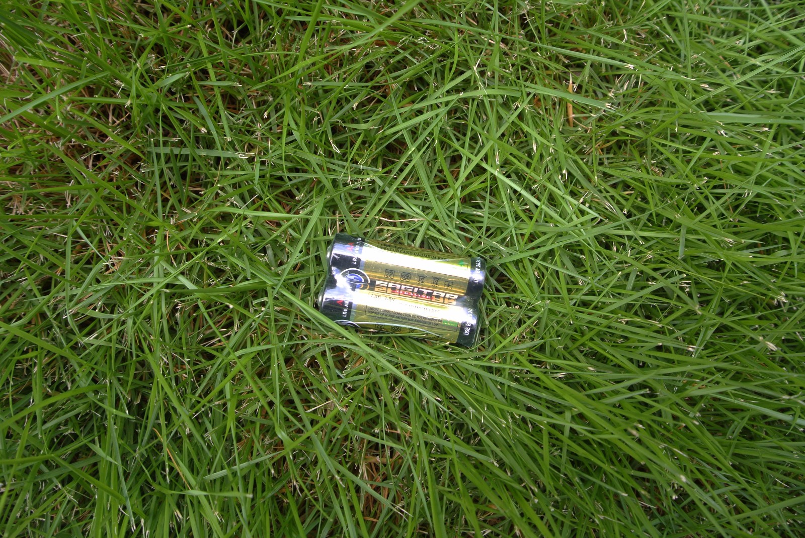 1500101599120841.jpg 1500101599120841.jpg