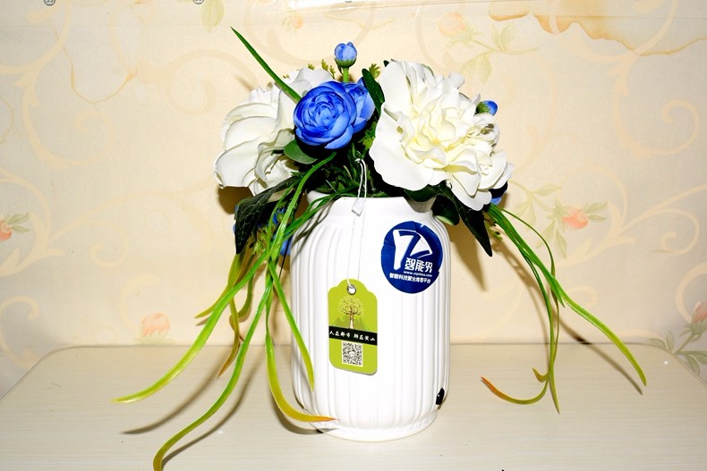 1500366986218171.jpg 5.JPG