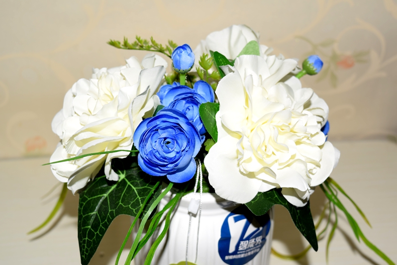 1500367005736316.jpg 7.JPG