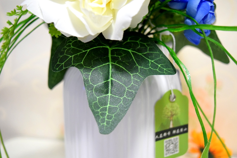 1500367024588803.jpg 9.JPG