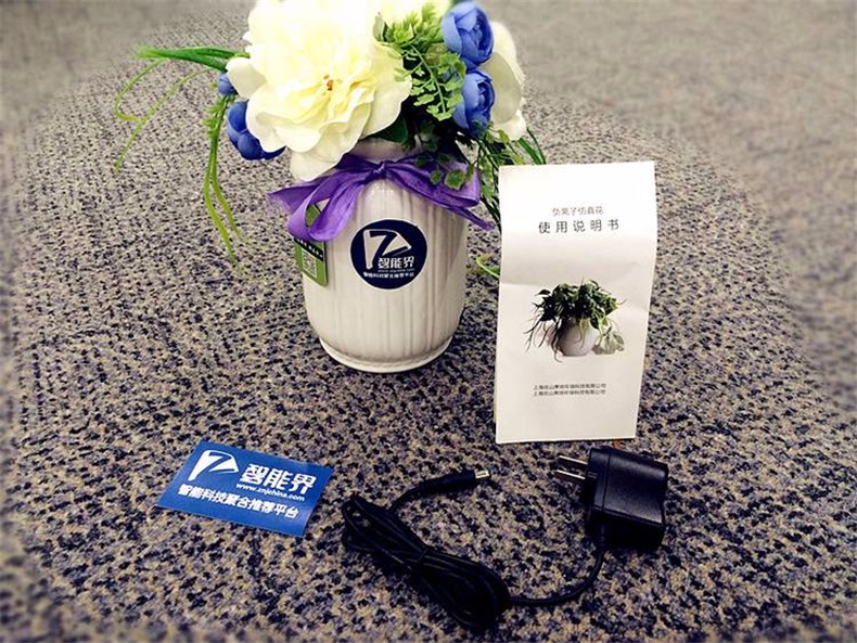 1501465862934349.jpg 5.jpg