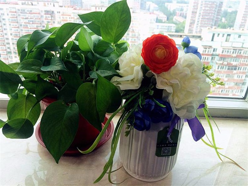 1501468650229918.jpg 26.jpg