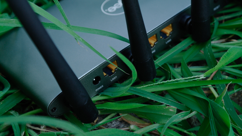 1502330909753314.jpg T16.jpg