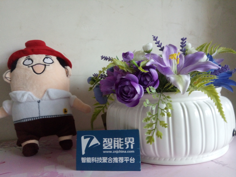 會(huì)呼吸的家居擺件，優(yōu)山美地負(fù)離子仿真花空氣凈化器