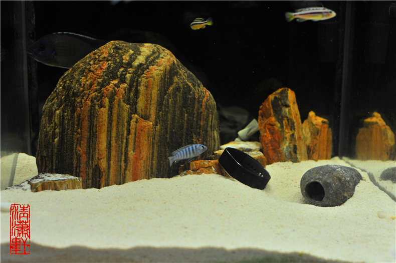 1505645616261934.jpg DSC_7161.jpg