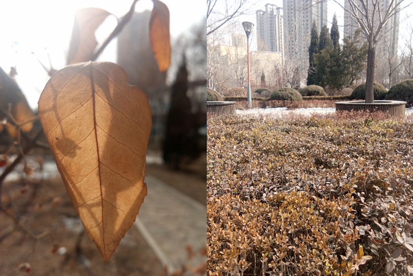 1518490744138674.jpg 1518490744138674.jpg