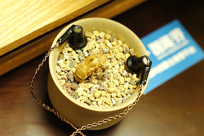 1536669922781299.jpg 1536669922781299.jpg