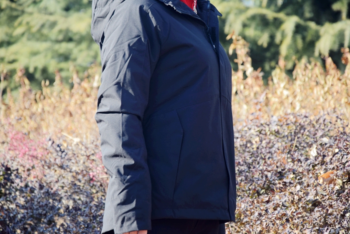 1545211462610196.jpg 1545211462610196.jpg