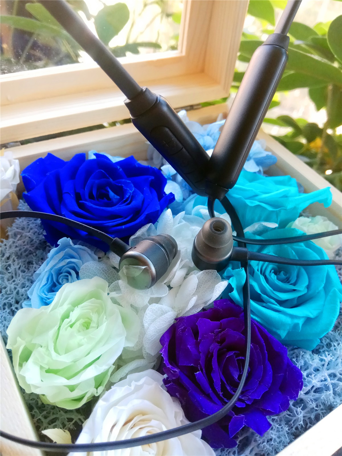 1554039162870819.jpg 1554039162870819.jpg