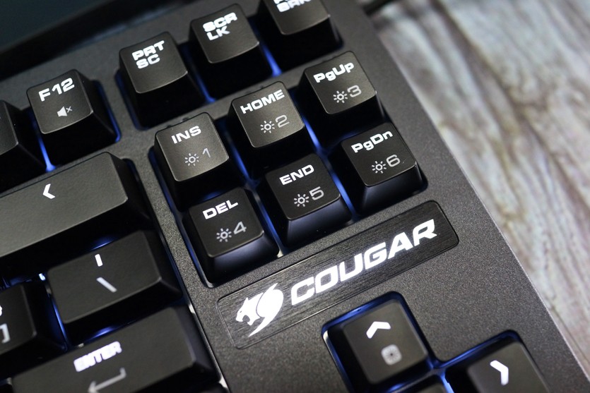 1594105630494876.jpg 70-1.jpg