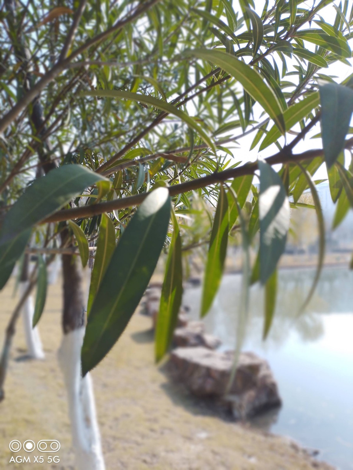 1609289386741355.jpg 1609289386741355.jpg