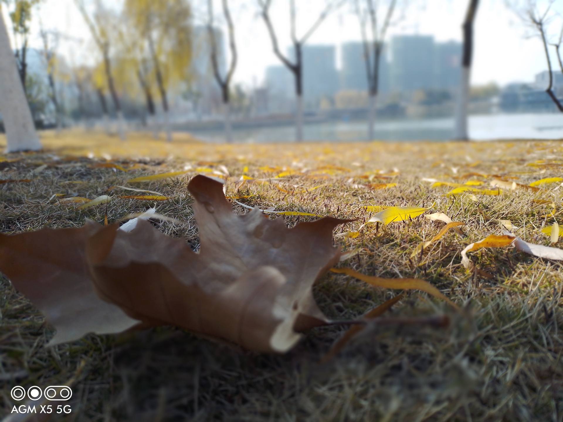 1609289389783338.jpg 1609289389783338.jpg