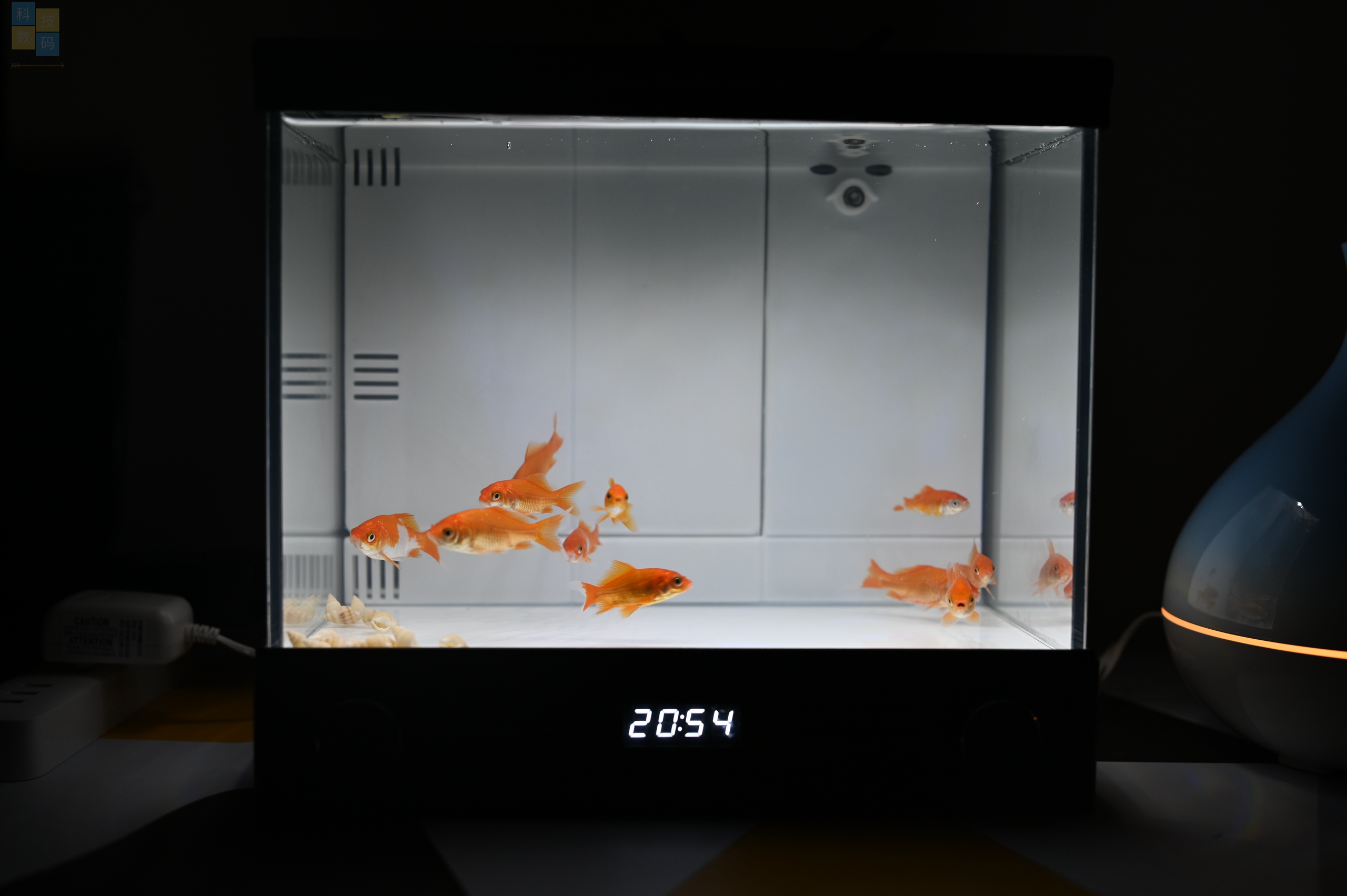 復(fù)古風(fēng)的小魚缸，還有幻彩燈效加持，憶趣TV3.0體驗(yàn)