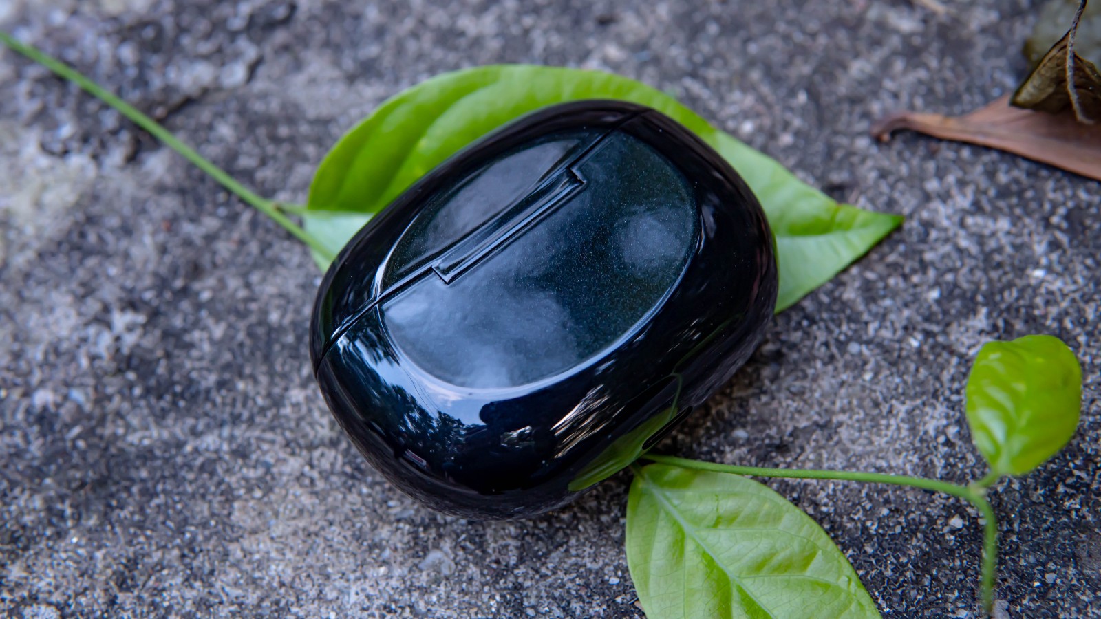 1635346392111606.jpg 1635346392111606.jpg